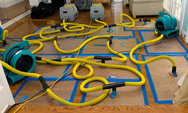 Professional Crawl Space Water Removal technician working in Port Edwards, WI